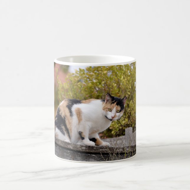Tricolor cat coffee mug (Center)