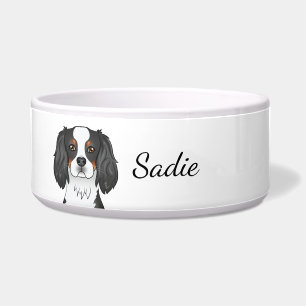 Tricolor Cavalier King Charles Spaniel Dog & Name