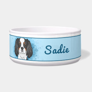 Tricolor Cavalier King Charles Spaniel Dog On Blue