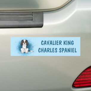 Tricolor Cavalier King Charles Spaniel Dog On Blue Bumper Sticker