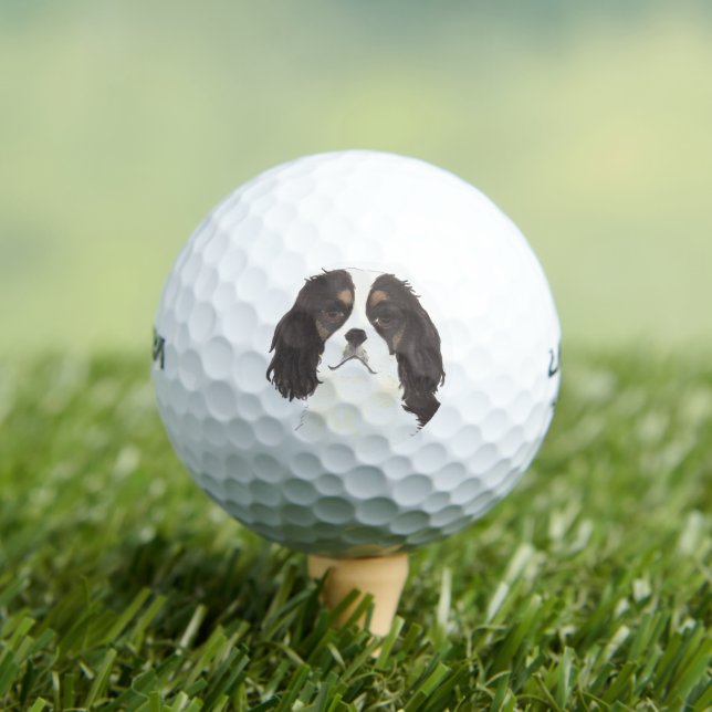 Tricolor Cavalier King Charles Spaniel Golf Balls (Insitu Tee)