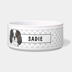 Tricolor Cavalier King Charles Spaniel Head & Name