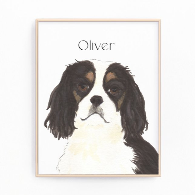 Tricolor Cavalier King Charles Spaniel Photo Print (Creator Uploaded)