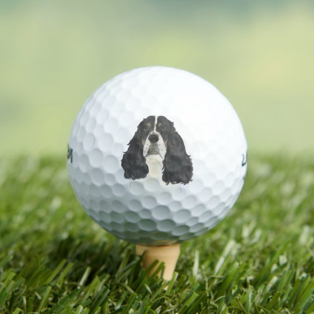 Tricolor English Springer Spaniel Golf Balls (Insitu Tee)