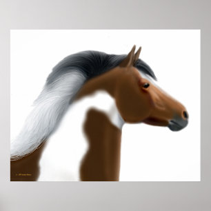 Tricolor Paint Horse Portrait Print