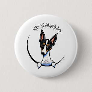 Tricolor Rat Terrier IAAM 6 Cm Round Badge