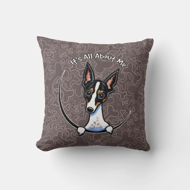 Tricolor Rat Terrier IAAM Cushion (Front)
