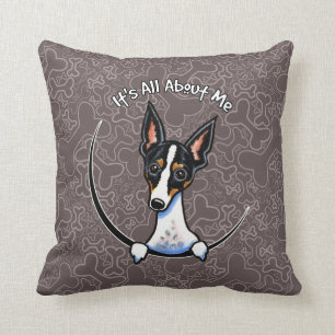 Tricolor Rat Terrier IAAM Cushion