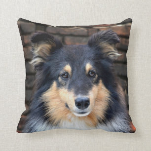 Tricolor Sheltie Cushion