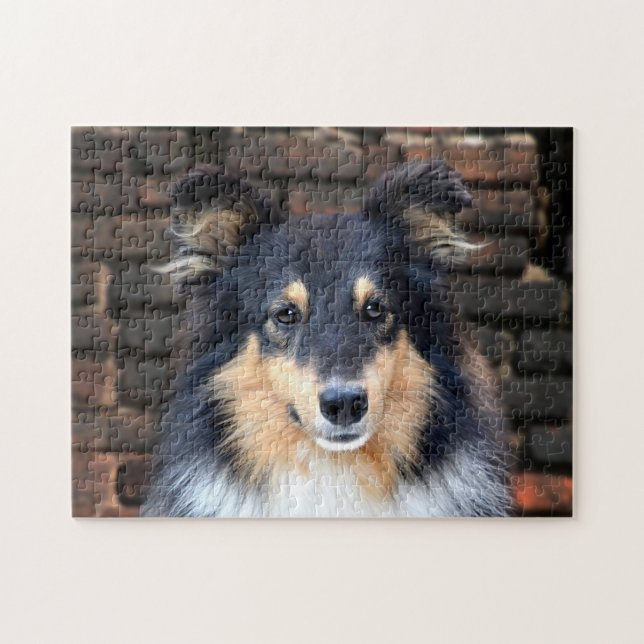 Tricolor Sheltie Jigsaw Puzzle (Horizontal)