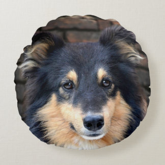 Tricolor Sheltie Round Cushion