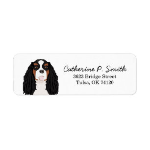 Tricolored Cavalier King Charles Spaniel Return Address Label