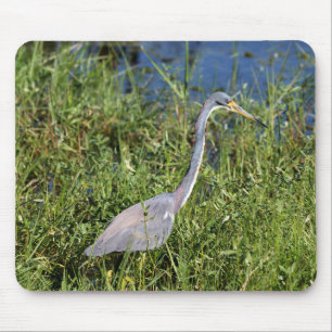 Tricolored Heron Mouse Pad