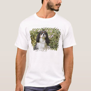 Tricolour Cavalier King Charles Spaniel on grass T-Shirt