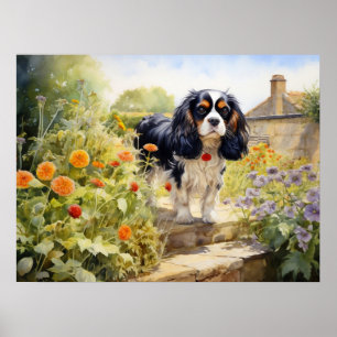 Tricolour Cavalier King Charles Spaniel Poster