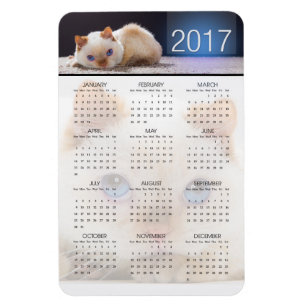 Trident the Cat Magnetic Calendar 01 Magnet