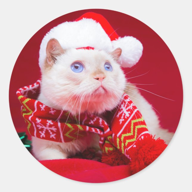 Trident the Cat Mini Round Sticker (Front)