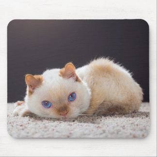Trident the Cat Mouse Pad 01