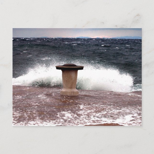 trieste molo audace postcard (Front)