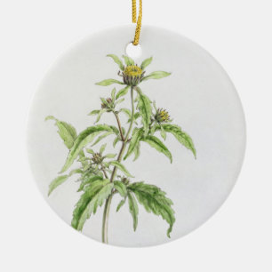 Trifid Burr-Marigold, painted at Hampstead, 1st Se Ceramic Tree Decoration