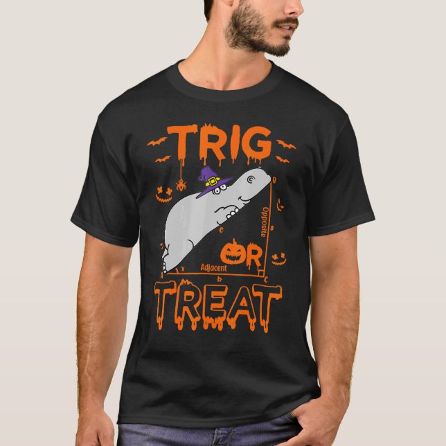 Trig Or Treat Hippopotamus Math Teacher Costume Ha T-Shirt (Front)