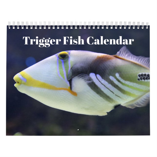 Trigger Fish 2027 Calendar (Cover)
