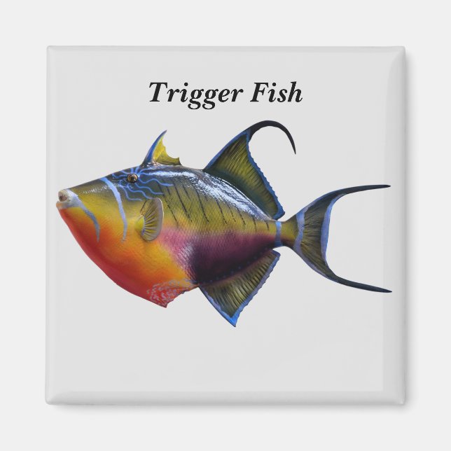 Trigger Fish Magnet (Front)