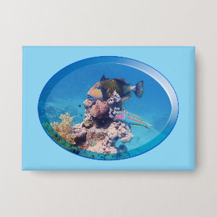 Triggerfish at coral reef - Photographic Design