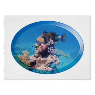Triggerfish at coral reef - Photographic Design    Poster