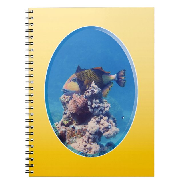 Triggerfish on Coral Top - Photographic Design |  Notebook (Front)