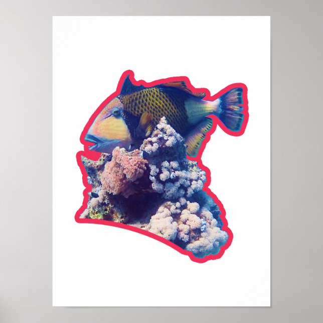Triggerfish | Red-Bordered Organic Crop View |  Poster (Front)
