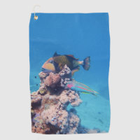 Triggerfish rests on a coral block at coral reef |