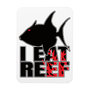 Triggerfishes Triggerfish Reef Fish – Marine Geek Magnet