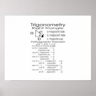 Trigonometry Poster