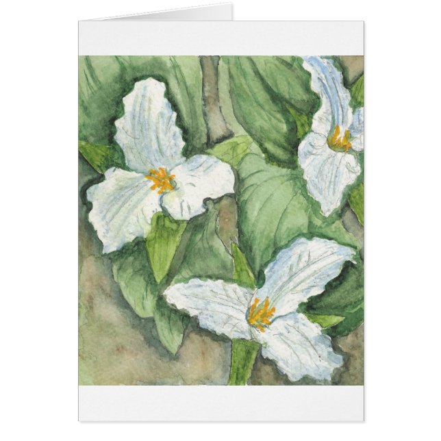Trillium (Front)