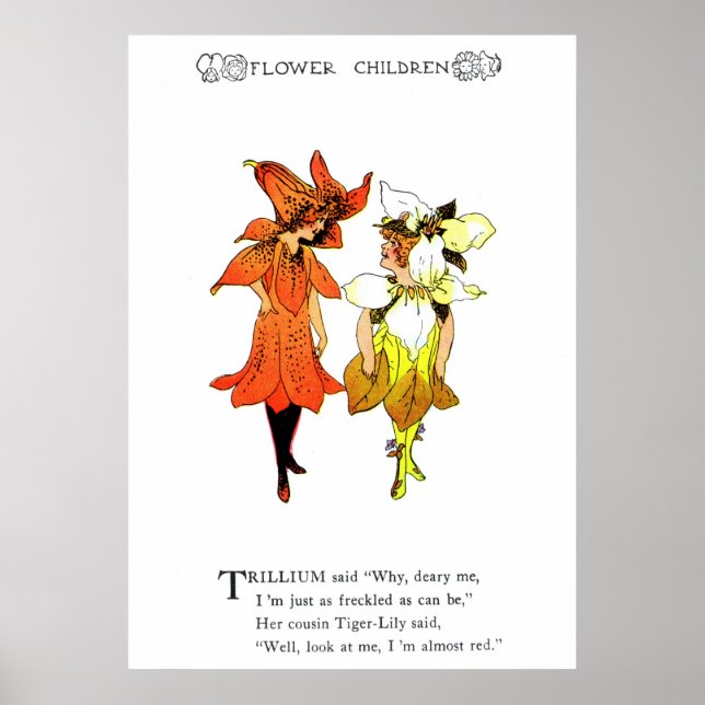 Trillium and Tiger-Lily Poster (Front)