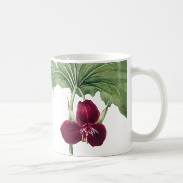 Trillium Botanical Coffee Mug (Right)