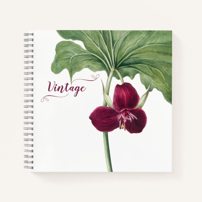 Trillium Botanical Notebook (Front)