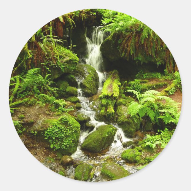 Trillium Falls at Redwood National Park Classic Round Sticker (Front)