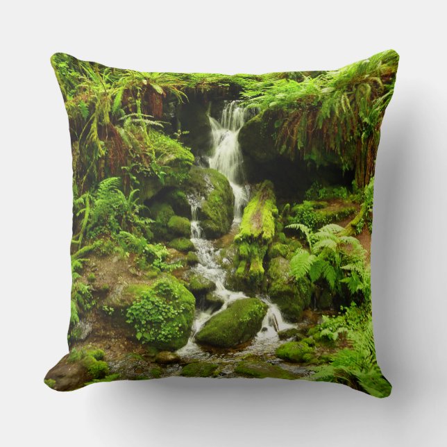 Trillium Falls at Redwood National Park Cushion (Front)