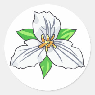 Trillium Flower Classic Round Sticker