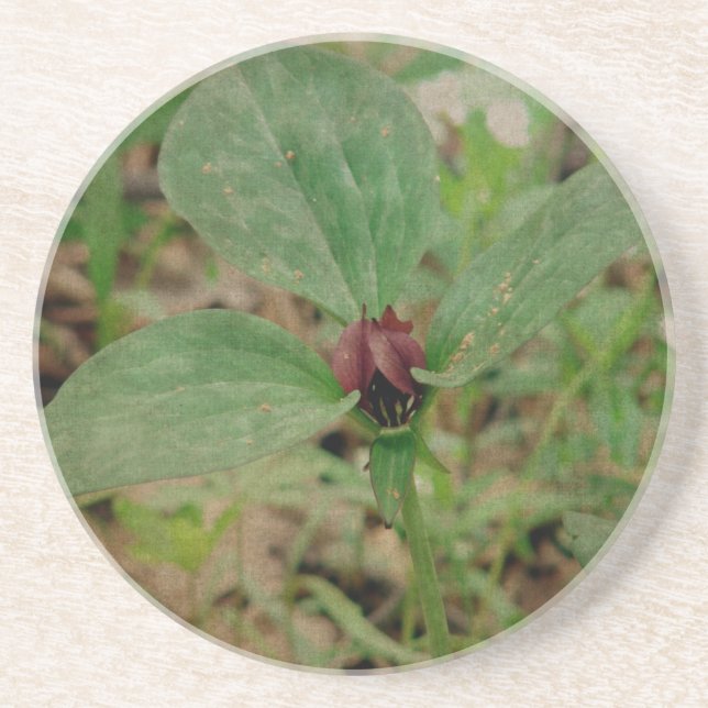 Trillium Flower Coaster (Front)