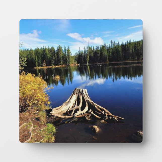 Trillium Lake, OR Plaque (Front)