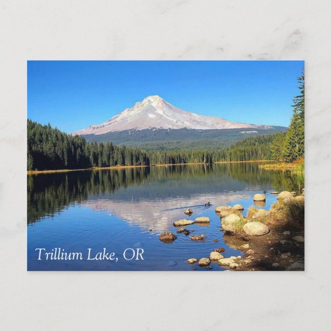 Trillium Lake, OR Postcard (Front)