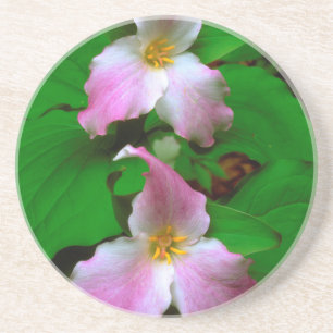 Trillium Wildflower Coaster