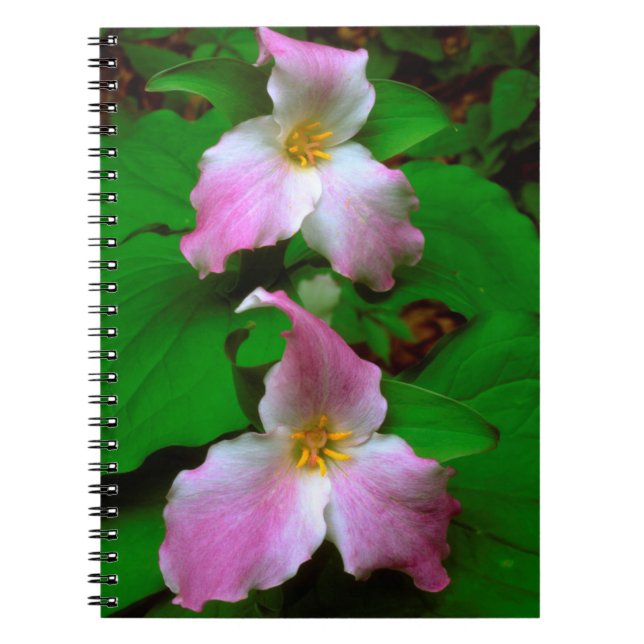 Trillium Wildflower Notebook (Front)