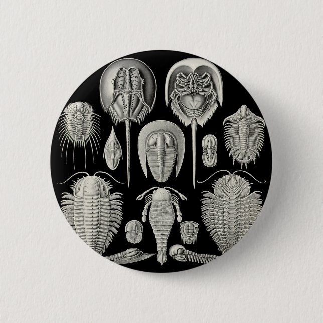 Trilobite! 6 Cm Round Badge (Front)
