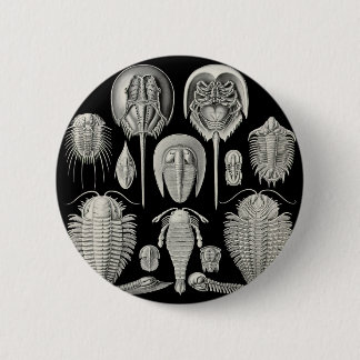 Trilobite! 6 Cm Round Badge