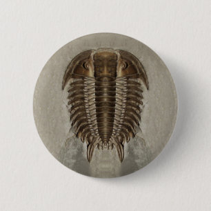 Trilobite Button