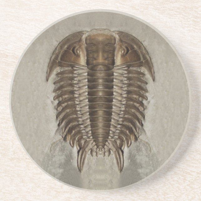 Trilobite Fossil Coaster (Front)